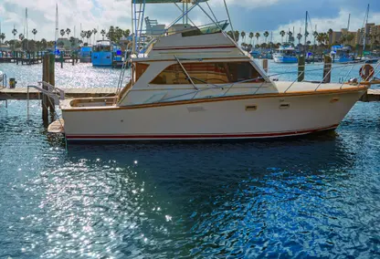 Marine Boat parked at Halifax river, Daytona Beach, Florida