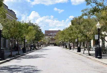 tree lined street downtown Deland