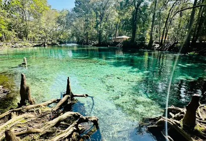 clear waters and trees in distance at natural spring, Florida