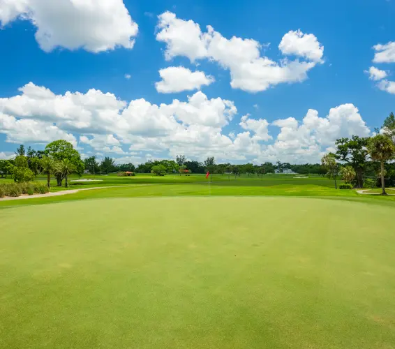Florida golf course