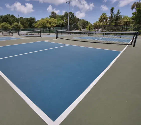 empty pickleball court