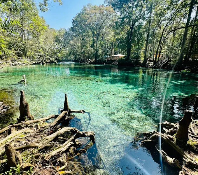 clear waters and trees in distance at natural spring, Florida